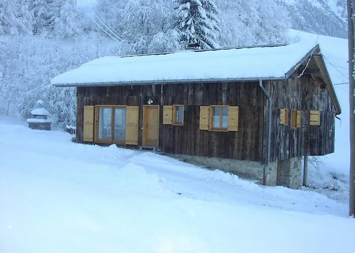 Chalet spacieux, animaux admis - 8 pers. - FR-1-886-70