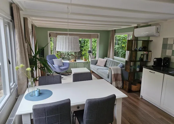 Nieuw Chalet In Nunspeet