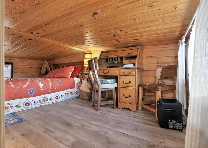 Hummingbird Heaven In Woodland Park Co Mountain Cabin