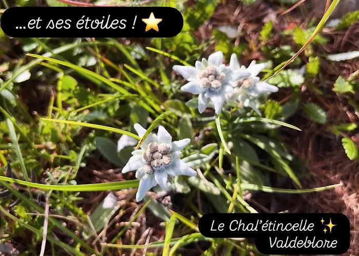 Le Chal'étincelle