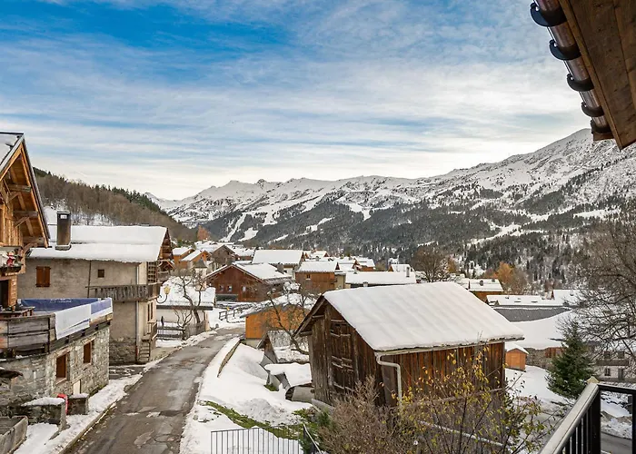 Chalet Moderne Meribel, Skis Aux Pieds, Animaux Admis