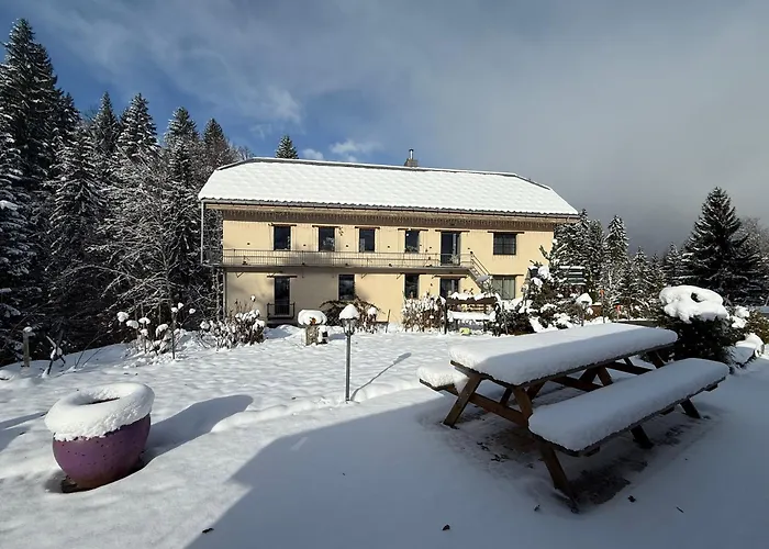 Le Moulin des Olirics