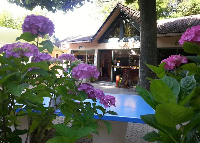 Hôtel accueillant les animaux: Camping Les Sources