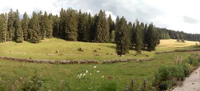 La Dernier (La cote-aux-fées) Suisse