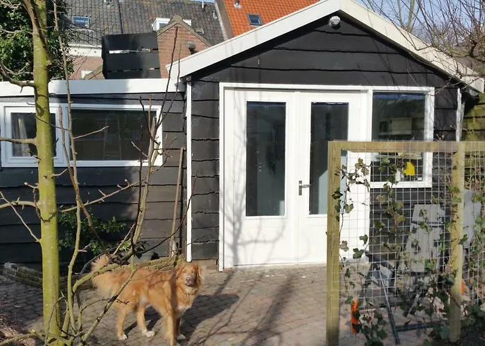 In De Stad, En Rustig Als Op Het Platteland